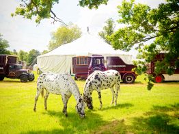 Giffords Circus Horses and Big Top in the Cotswolds